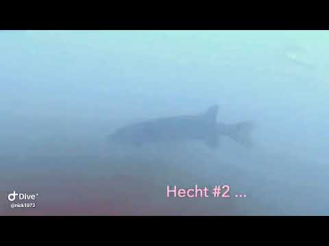 ROBINSON - COLOMBIER - 2020-08-10