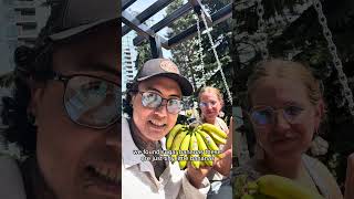 Download lagu Baby bananas mp3 Download lagu Baby bananas mp3