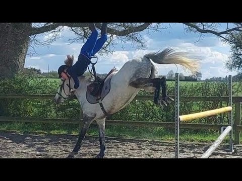 Chutes et défaillances du cheval
