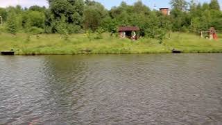 Ссылка