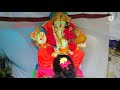 Vinayaka Chaviti Special Thalaiva Vlogs