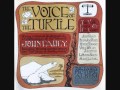 John Fahey - A Raga Called Pat Part IV - Voice Of The Turtle (alternate version)