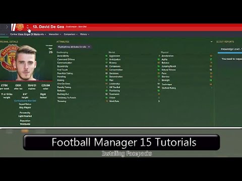 Football Manager 2015 Tutorial: Downloading & Installing Facepacks