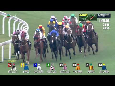 2015 Hong Kong International Mile (International Group 1)