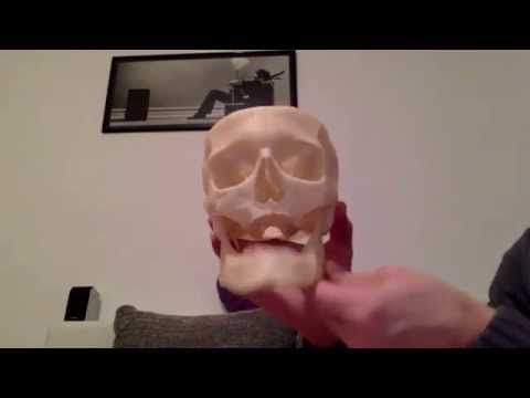 Wie behandelt man Mundecken oder Rhagaden?