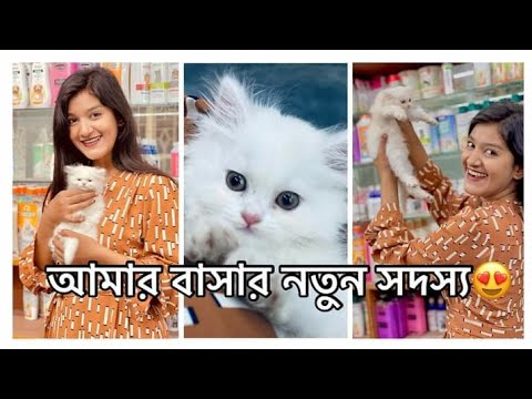 আমাদের পরিবারের নতুন সদস্য | Amr Nuri | Shamima Afrin Omi  🤩