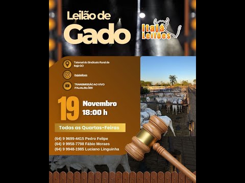 LEILÃO DA ITAJÁ LEILÕES