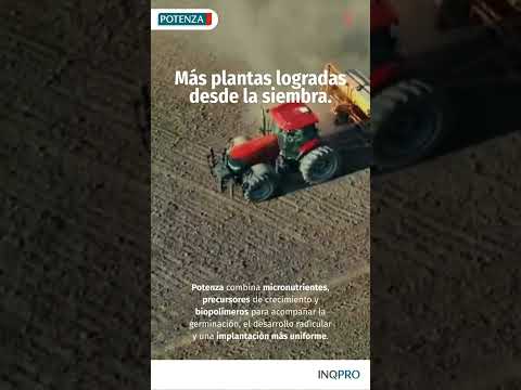 POTENZA | Tecnología aplicada desde la semilla.