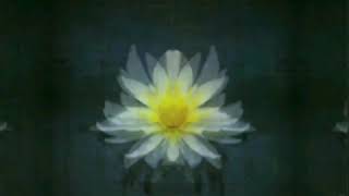 Sleeping At Last - Mended Heart