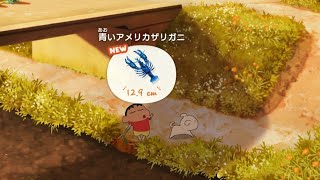 #11【炭の町のシロ】ちゃんと居た！