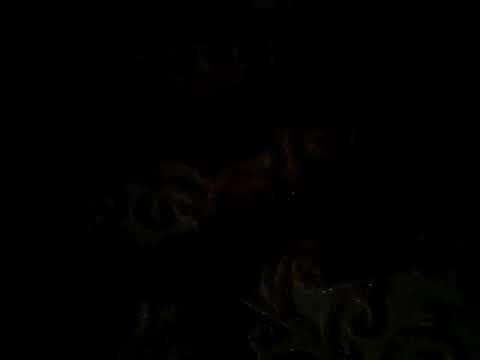 LG V50 ThinQ Unboxing