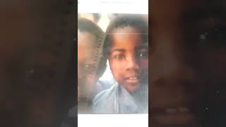 Cedarmont Kids Sunday School Songs DVD