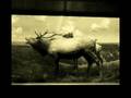 Dark Dark Dark - The Snow Magic - 13 All The ...