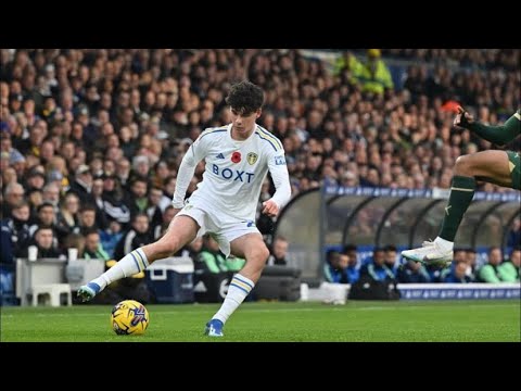 The Elegance Of Archie Gray..