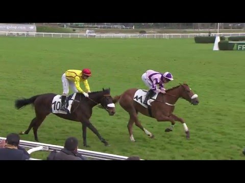 ZAMBEZI SUN, père de TERRE ET MER (Prix Auricula, Auteuil)