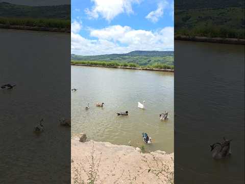 Sítio Veneza em Jamacaru/Missão Velha no Ceará #ceara #sitio #nordeste #viagem #cariri #trilha #fyp