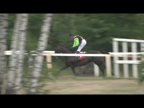 Dostihy Lysá nad Labem 6. 7. 2023 - 2. dostih - Handicap Nutri Horse