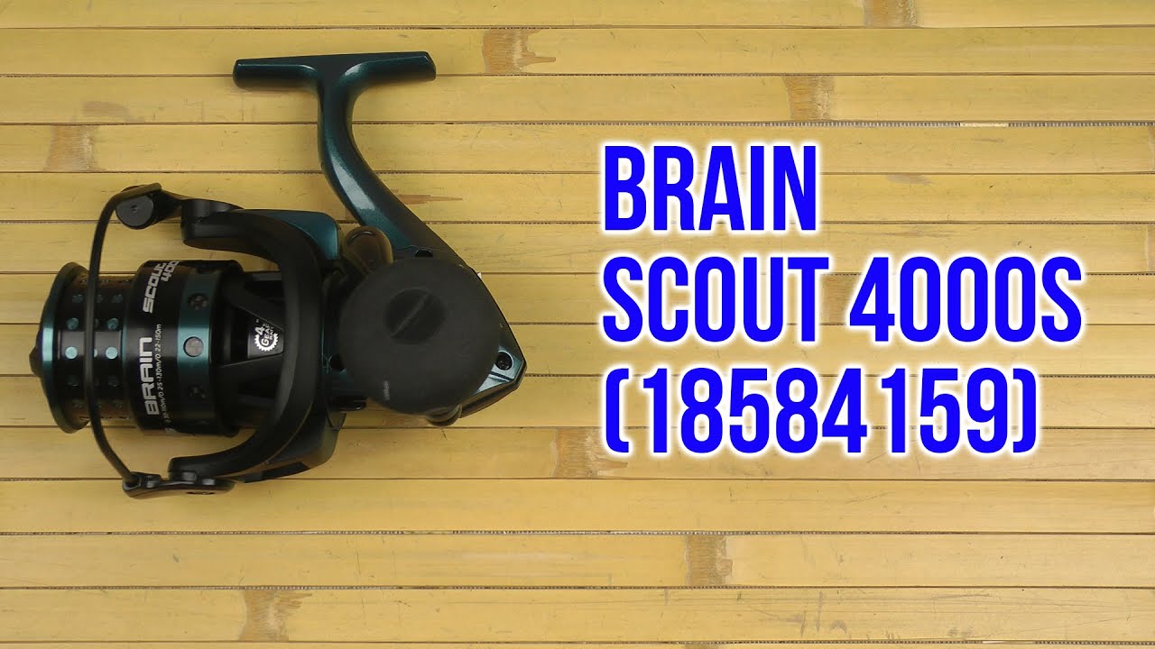 Brain scout. Катушка Brain Scout 5000s. Brain Scout 6000s. Brain Scout 4000s. Запасная шпуля Brain Scout 4000.