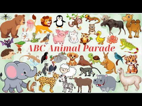 ABC 56 Animals Parade|ABC 56 Animals Describe and identify each animal|Kids Song TV