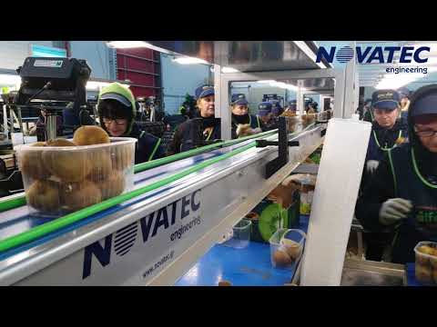 Novatec S.A. - Kiwi & Table Grapes Packing Line (Check Weigher)