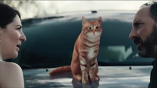 Sketch 2025 Film (The Cat Scene) (Angel Studios)