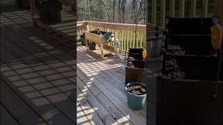 Homesteading Spring Clean Up! #homesteading #shorts