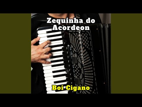 Vaqueira Cigana (Cover)