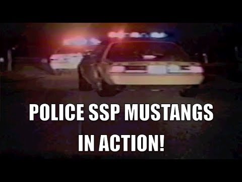 Police SSP Mustangs in Action