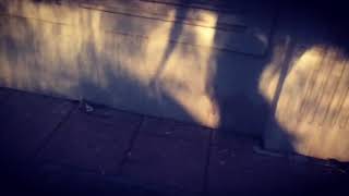 Shadow Identities