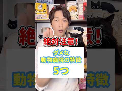 絶対注意！ダメな動物病院の特徴５つ #猫 #猫好きさんと繋がりたい #ねこ