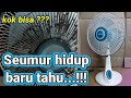 How To Clean A Fan Without Disassembling