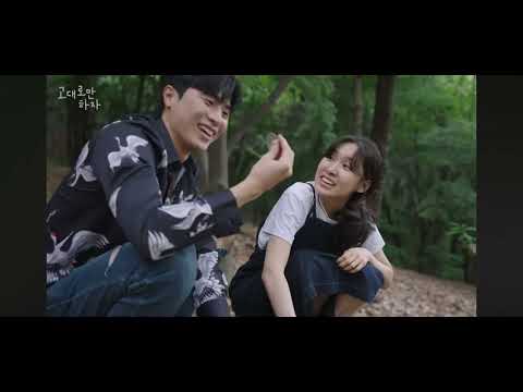 비디오 5