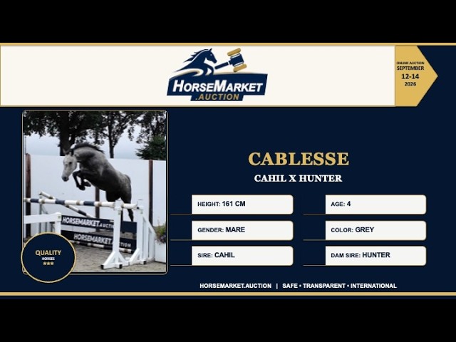 Cablesse