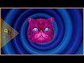 Recycle Your Electricals Hypnocat