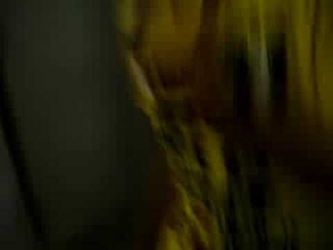 Eke Sar Stanlo Grupa Kaljus Man