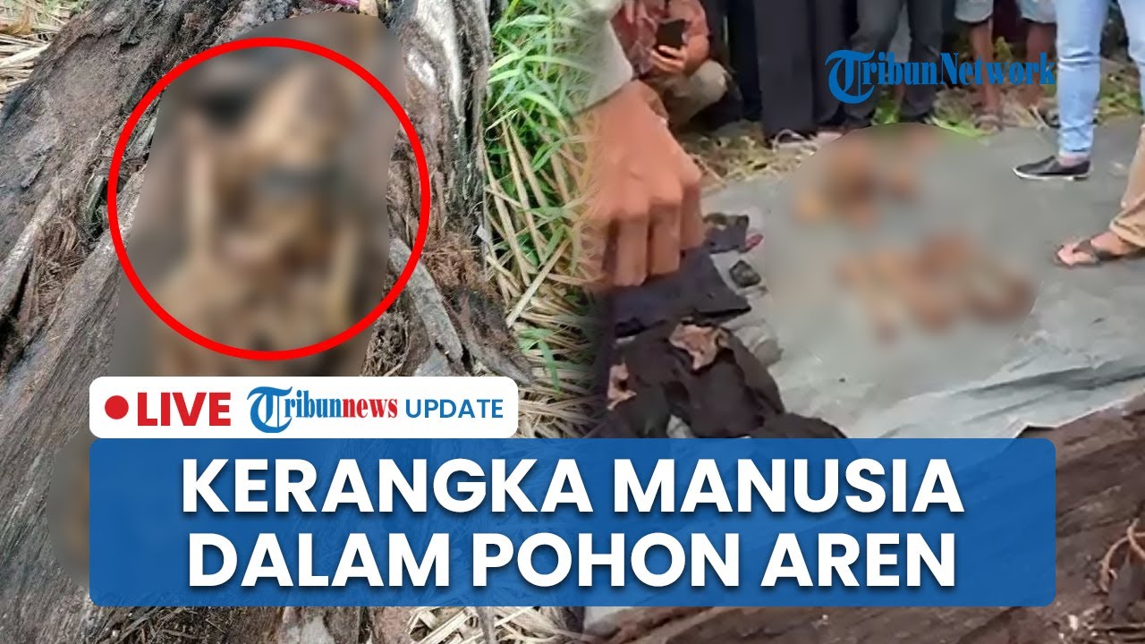 🔴 LIVE: Geger Temuan Kerangka Manusia Dalam Pohon Aren yang Tumbang Kena Puting Beliung di Sumut