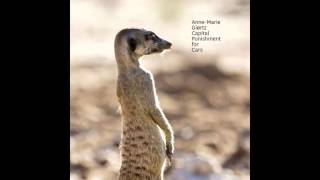 Capital Punishment for Cars ( Anne-Marie Giørtz )