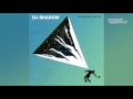 "The Sideshow" feat. Ernie Fresh - DJ Shadow (The Mountain Will Fall) [HQ Audio]