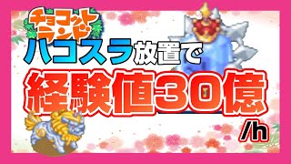 チョコットランド 親父 تحميل اغاني مجانا