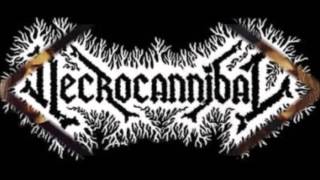 Necrocannibal - Somnambuliformic Possession ( Full Album )