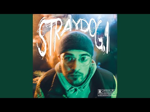 STRAYDOG