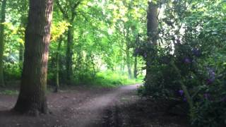 preview picture of video 'Birds whistling in lovely city parc Overvoorde, Rijswijk - 2012-05-23'