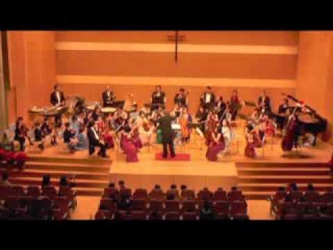 政治経済学科 聖学院小学校　PTAからのクリスマスプレゼント　オーケストラと過ごす1時間　2013/12/05