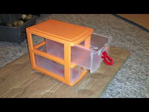 My smart pet rat Cookie fetching from a drawer!