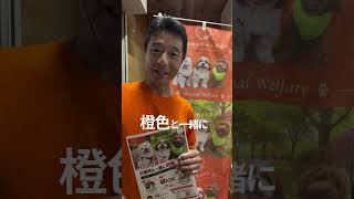 ワンちゃんTシャツ#津幡町 #参政党 #動物愛護