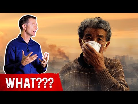 Does Stevia Affect your Blood Sugar – Dr Berg