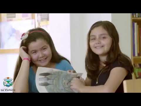 Informe de Gestión vigencia 2.025