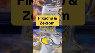 Pikachu + Zekrom ⚡️⚡️ #pokemonchannel #shortspokémon #pokemon #viralshorts
