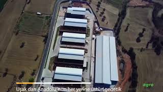 Agroplanet Livestock - Usak Farm 2018