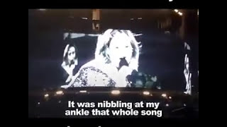 Adele- Attacked By a beetle on stage (REALLY FUNNY)
